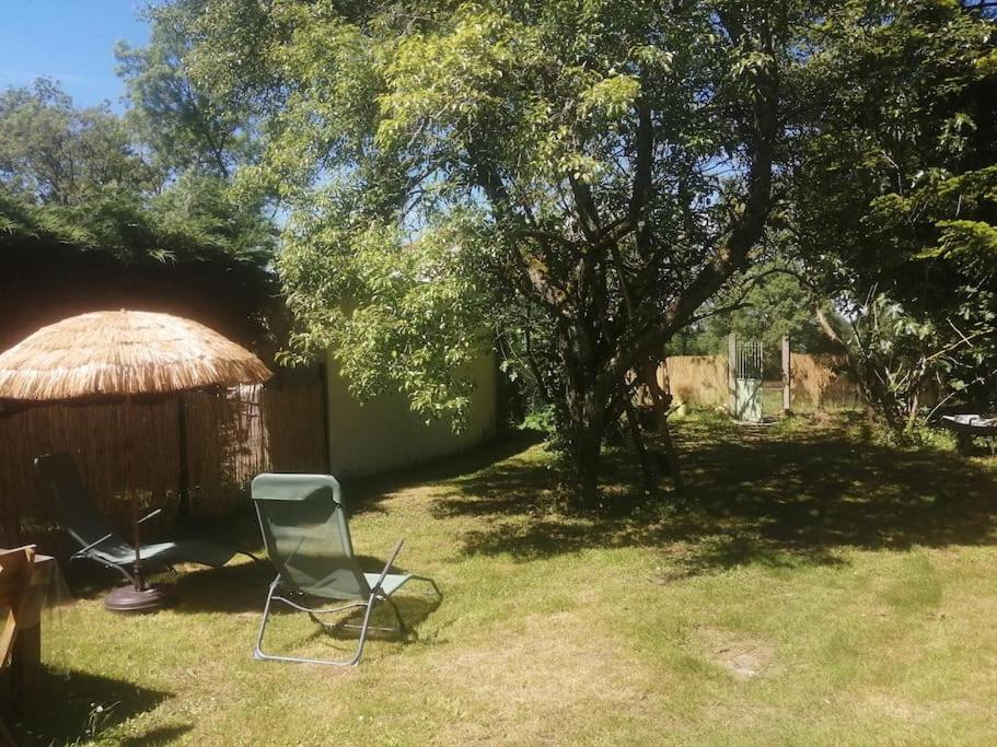 Maison " Bouton D'Or" Au Bord De L'Eau, A 10 Mn De Tours , Meuble Classe Une Etoile Saint-Avertin Kültér fotó