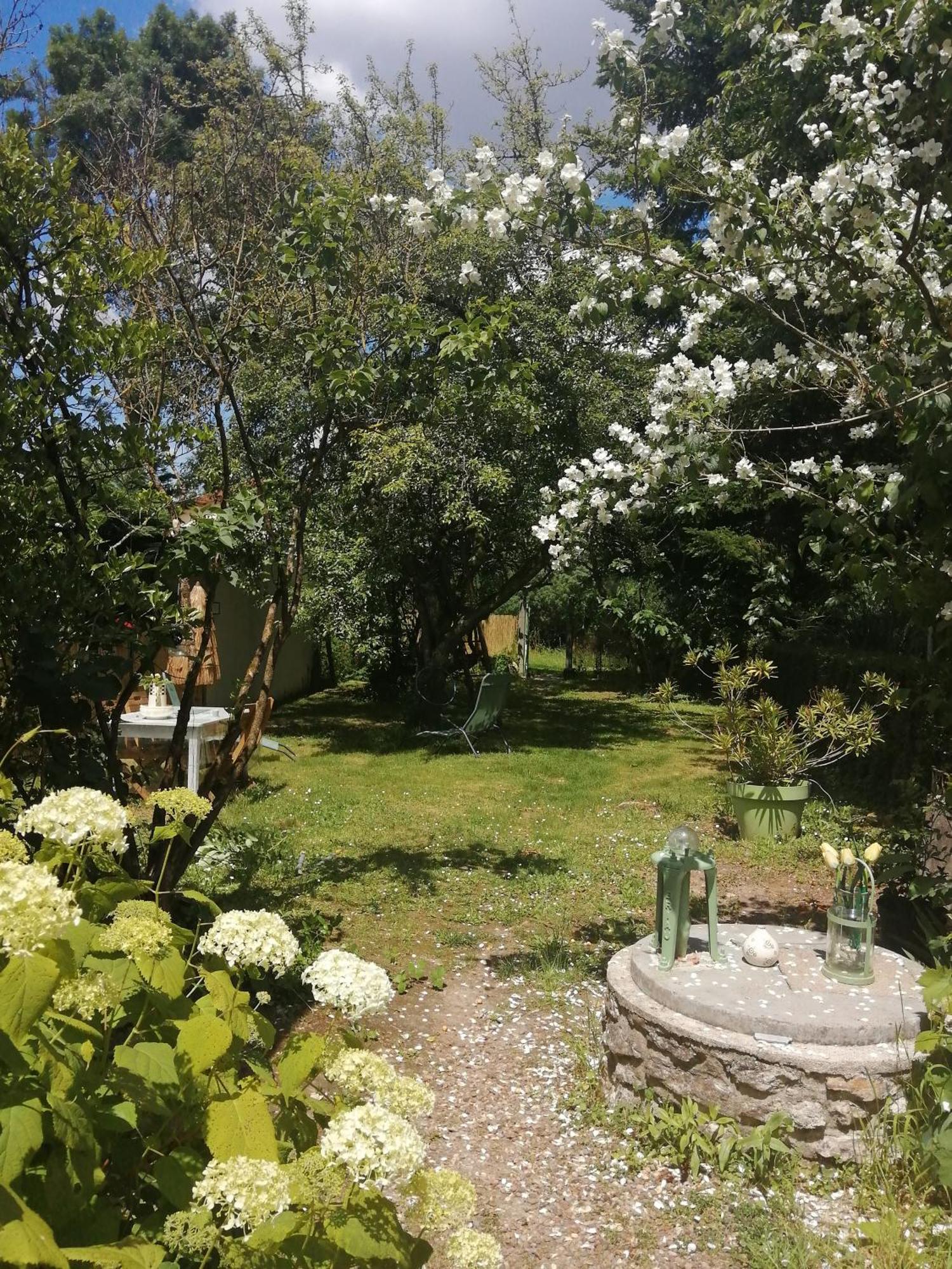 Maison " Bouton D'Or" Au Bord De L'Eau, A 10 Mn De Tours , Meuble Classe Une Etoile Saint-Avertin Kültér fotó